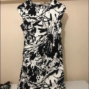 Muse black and white mid length dress